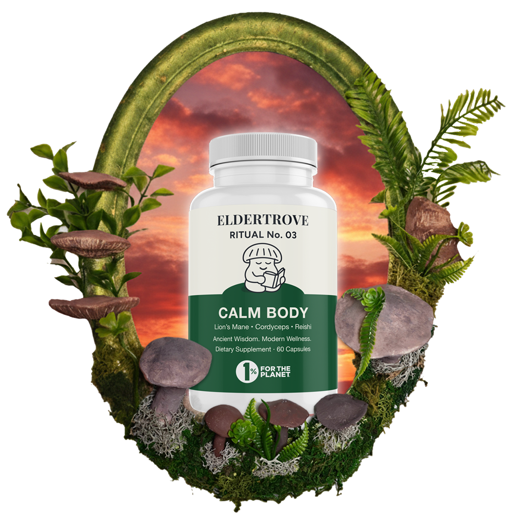 Ritual No. 03 — Calm Body