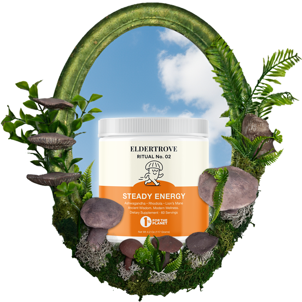 Ritual No. 02 —Steady Energy